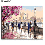 Framed Wall Pictures DIY Oil Painting By Numbers Wall Art Acrylic Oil Canvas Paintings Home Decor For Living Room